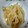 くま子♪'s cooksnap of when they made しゃきっ☆もやしとゴマのおひたし.
