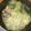 08261010's cooksnap of when they made 牡蠣と豆腐のヘルシー鍋.