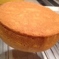 もふもふひなのん♡'s cooksnap of when they made 簡単プロの味♪基本のスポンジケーキ＊.