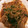 オレンジころん's cooksnap of when they made 豚肉とニラモヤシの焼肉炒め.