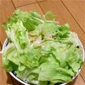 stuyuri's cooksnap of when they made 簡単すぎるレタスサラダ.