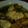 ギャプラン's cooksnap of when they made 圧力鍋で作るトローリ豚角煮.