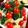 ルナＰボール's cooksnap of when they made クリスマス☆ツリーサラダ.
