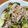 Katlin's cooksnap of when they made ✩簡単✩豚肉と青梗菜の塩レモン炒め.