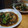 tetsumitsu's cooksnap of when they made 牡蠣と小松菜のオイスターソース炒め.