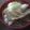 さとみりん's cooksnap of when they made てんこ盛り山形芋煮.
