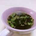 赤い電話's cooksnap of when they made 簡単!カップでわかめスープ.