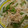 しゅーくりーむママ's cooksnap of when they made こごみと新玉のマヨサラダ♪.