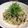 ひろこどっとこむ's cooksnap of when they made 簡単★★塩昆布と水菜の和風ツナパスタ♪.