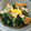 もっくりりん's cooksnap of when they made 水菜とえのき茸の煮びたし.