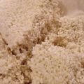 1035's cooksnap of when they made お米から蒸して手作りの 自家製 米麹.