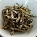 あんぱん。まん。's cooksnap of when they made 食べる煮干しで作る田作り.