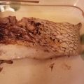 チャッピーココア's cooksnap of when they made 真鱈の塩レモンペッパーソテー.