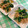 くまんぼう's cooksnap of when they made ✿ほうれん草と切り干し大根のゴマ和え✿.