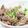 にわとりかあさん's cooksnap of when they made 牛肉薄切り焼き　自家製宮のたれ風使用☆.