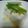 ヨシヨッシー's cooksnap of when they made 簡単塩ねぎ冷や奴.