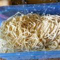 HinodeCafe's cooksnap of when they made 国産粉＊自家製中華麺.