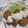 きらり流れ星's cooksnap of when they made 簡単！タルタルソース.