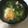 ●これなんだ●'s cooksnap of when they made 東京下町辺りの伝統雑煮.