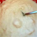 ポポポポポフィ〜♡'s cooksnap of when they made 離乳食 初期 お豆腐のだし汁和え.