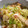 いせご's cooksnap of when they made 白菜とツナのしょうゆマヨサラダ.