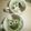 白いぐれーぷ's cooksnap of when they made 簡単かわいい♡スヌーピー白玉.