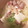 RMia's cooksnap of when they made 風邪をひいたときのネギ鶏うどん.