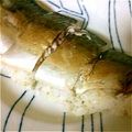 イヤン坊マー坊's cooksnap of when they made 焼き鯖寿司.