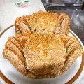 chikappe's cooksnap of when they made 毛蟹のおいしい食べ方.