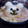 にこるか亭上緒寧's cooksnap of when they made ☆雪だるまのみぞれ鍋☆.