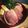 MIE88888's cooksnap of when they made 年越しそばに！鴨南蛮そば.