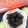 meroyanavi's cooksnap of when they made 簡単！おせちの黒豆＊炊飯器使用＊.