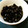 しゅんしゅん★'s cooksnap of when they made 我が家のふっくら黒豆☆.