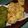 Ｋａｙｏsan's cooksnap of when they made チョコ･トリプレッツ・クッキー.