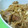 ナワナワドーリー's cooksnap of when they made 簡単＆おいしい　＊切干大根の鶏卵炒め＊.