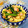 蜂蜜きなこ's cooksnap of when they made 簡単☆旨い☆ツナとトマトのショートパスタ.