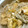 羽鳥マイ's cooksnap of when they made 絶品鶏鍋♪焼ネギ黄金出汁☆仕上げは蕎麦で.