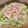 mutsu55's cooksnap of when they made 塩鮭の野菜和え.