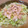 mutsu55's cooksnap of when they made 塩鮭の野菜和え.