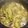 クックZDT71D☆'s cooksnap of when they made いか鍋　わたを使って♪.