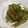 まっちん大好き's cooksnap of when they made 冬瓜の皮のきんぴら.