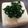 もっくりりん's cooksnap of when they made にら豆腐（冷奴）.