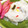まゆｐｙ's cooksnap of when they made 千枚漬け.