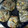 カジサ's cooksnap of when they made コク旨ツナとひじきの炊き込みご飯.
