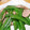 勇ｱﾝﾄﾞぐるんぱ's cooksnap of when they made きぬさやのバター炒め.