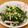 小林えりぽ's cooksnap of when they made ほうれん草ｗｉｔｈホワイトロースハム.