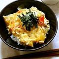 さりえろ's cooksnap of when they made モテる！はじめてのしっとり親子丼.