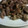 あかはなバギー's cooksnap of when they made 激うま！簡単！砂肝漬け焼き！.