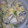 セイコモ１０３'s cooksnap of when they made 筑前煮❤リメイククリームソース.