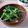 ☆みちゃ☆'s cooksnap of when they made 鶏と水菜のめんつゆ煮.